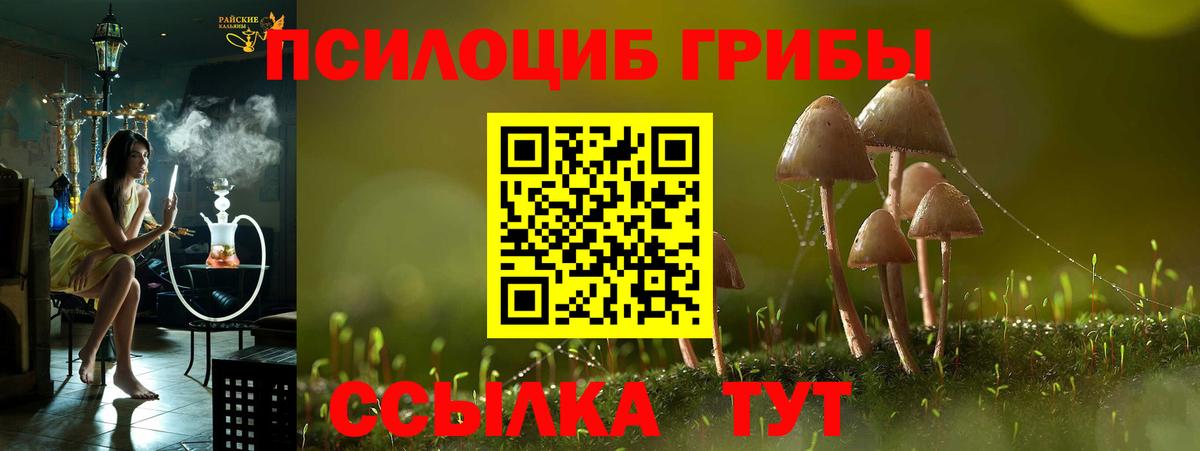 Калач-на-Дону  Псилоцибиновые грибы Magic Shrooms  цена   Вход с VPN 